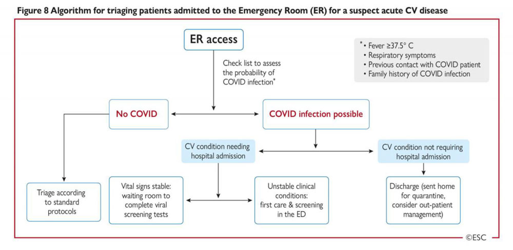 Figure 8 – Algorithme pour l’orientation des patients admis aux urgences pour suspicion de pathologie aigue cardiovasculaire