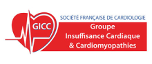 SFC - Logo GICC