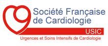SFC - Logo Groupe USIC