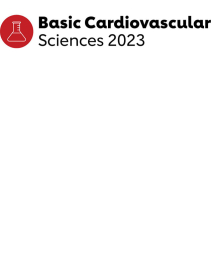 logo bcvs 2023